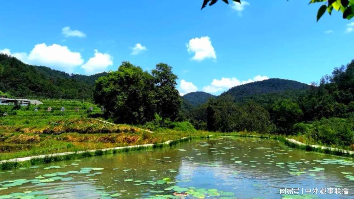 最新竞价推广定制化升级您的购物平台:助力中小企业拓展市场华为影像年度影展登陆上海